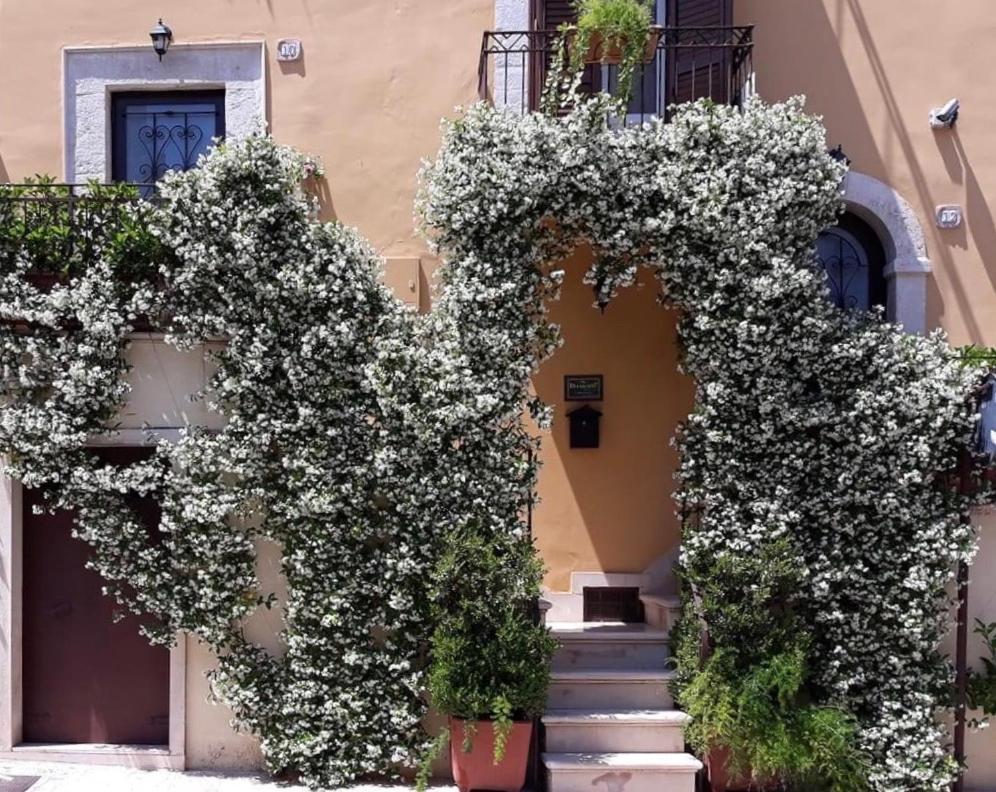 B&B Il Principe Palo del Colle Εξωτερικό φωτογραφία